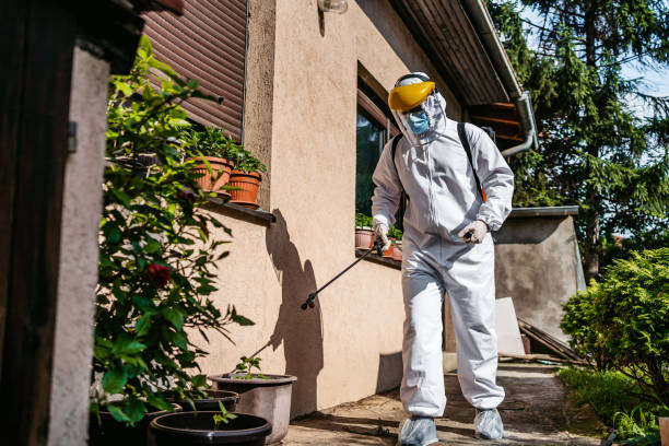 Best Best Pest Control Companies  in Riverview, FL