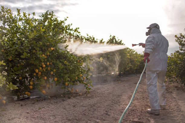 Best Mosquito Control Services  in Riverview, FL