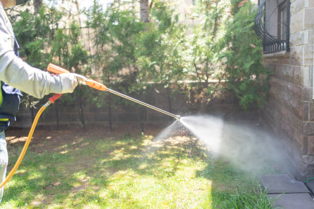 Professional Pest Control in Riverview, FL