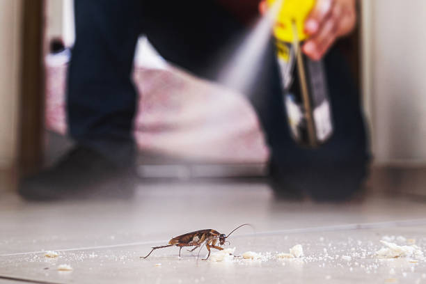 Best Insect Control  in Riverview, FL