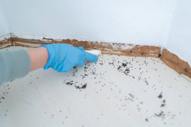 Best Commercial Pest Control Services  in Riverview, FL