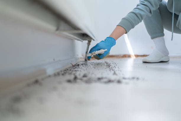 Best Emergency Pest Control  in Riverview, FL