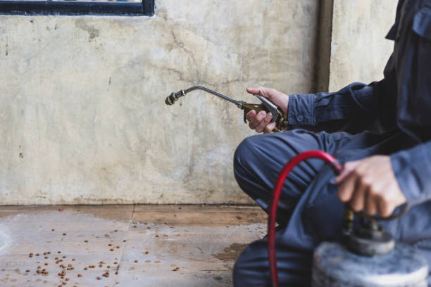 Best Pest Prevention Services  in Riverview, FL